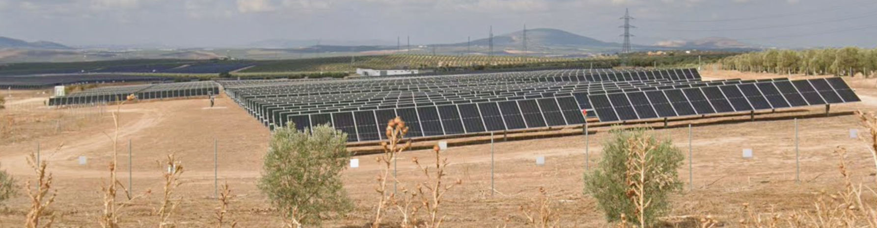 Imagen de la planta solar fotovoltaica Archo II