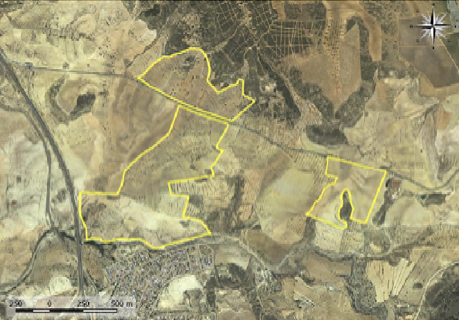 Zona delimitada por la planta solar La Pinilla